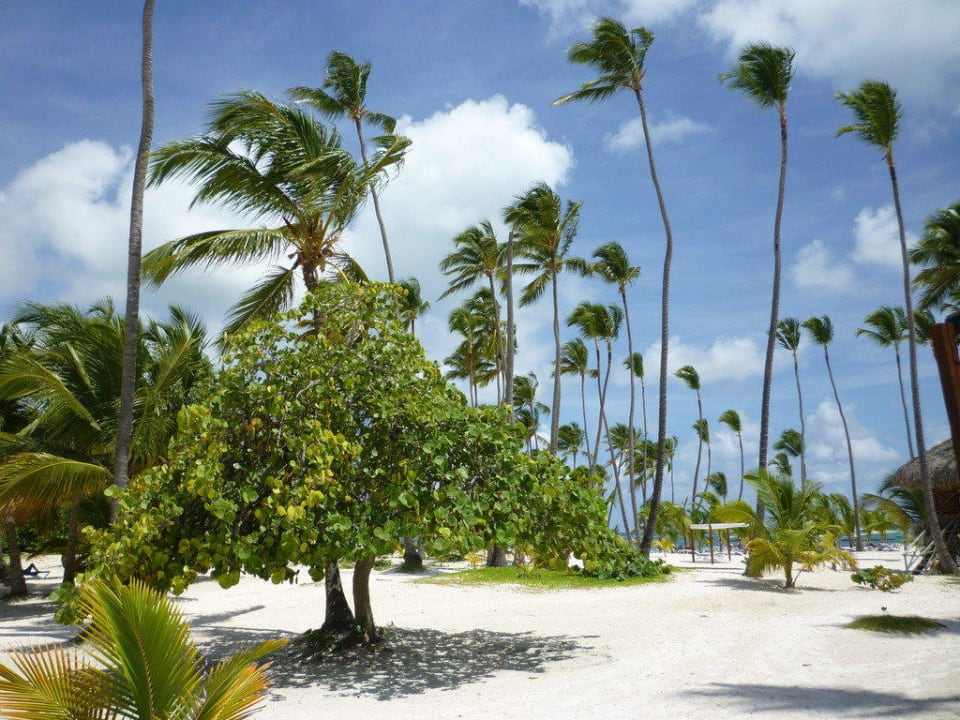 Der Weg zum traumhaften Strand Villas Bavaro Resort & Spa