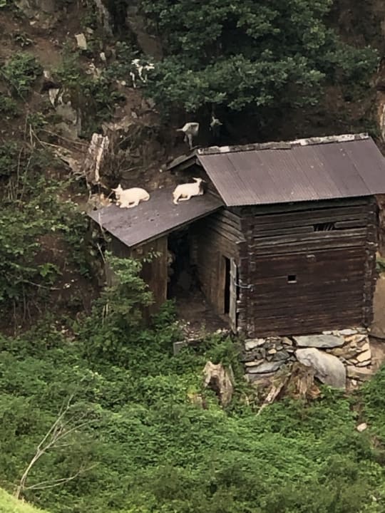Außenansicht Bauernhof Goglhof
