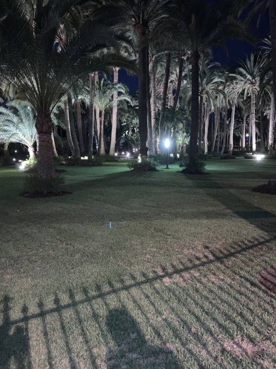 Gartenanlage Hotel Riu Palace Oasis