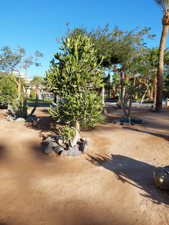 Gartenanlage Steigenberger Aqua Magic