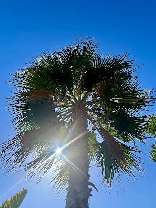 Gartenanlage Rubi Platinum Sign