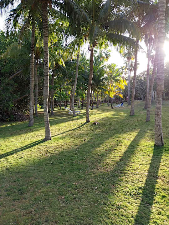 Gartenanlage Blau varadero - Adults only