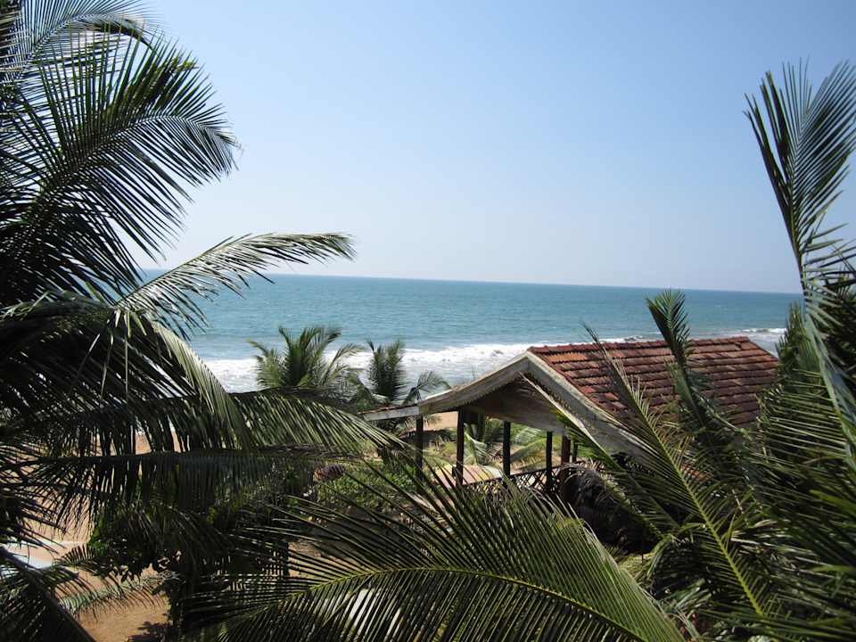 ...grün vor dem Fenster - so mag ich es Hotel Oasey Beach