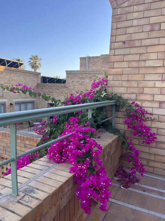 Gartenanlage Bella Beach Hotel