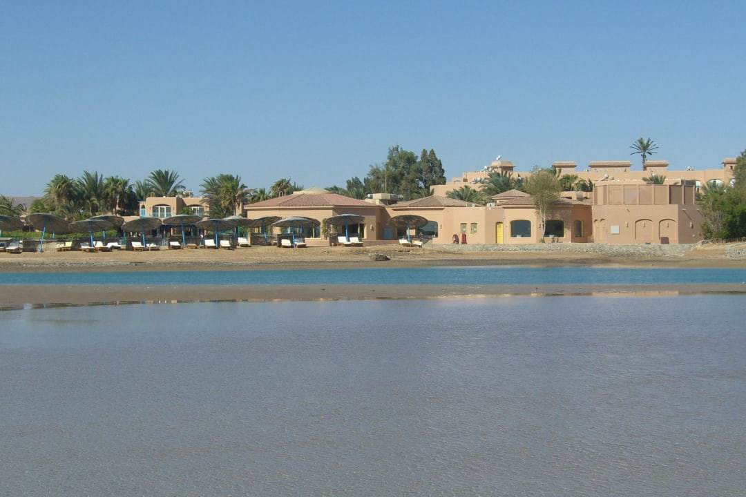 Spaziergang bei Ebbe Club Paradisio El Gouna, Red Sea