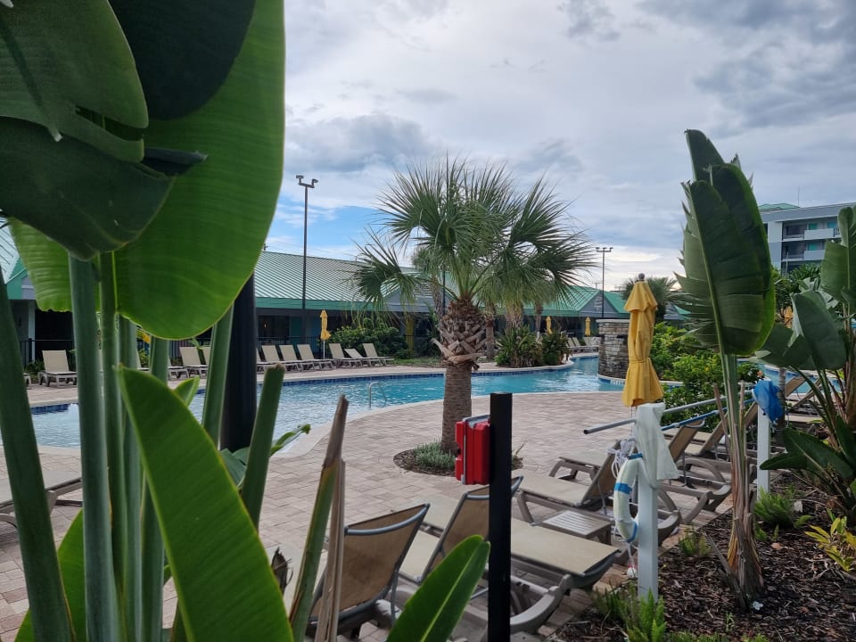 Gartenanlage Beachside Hotel and Suites