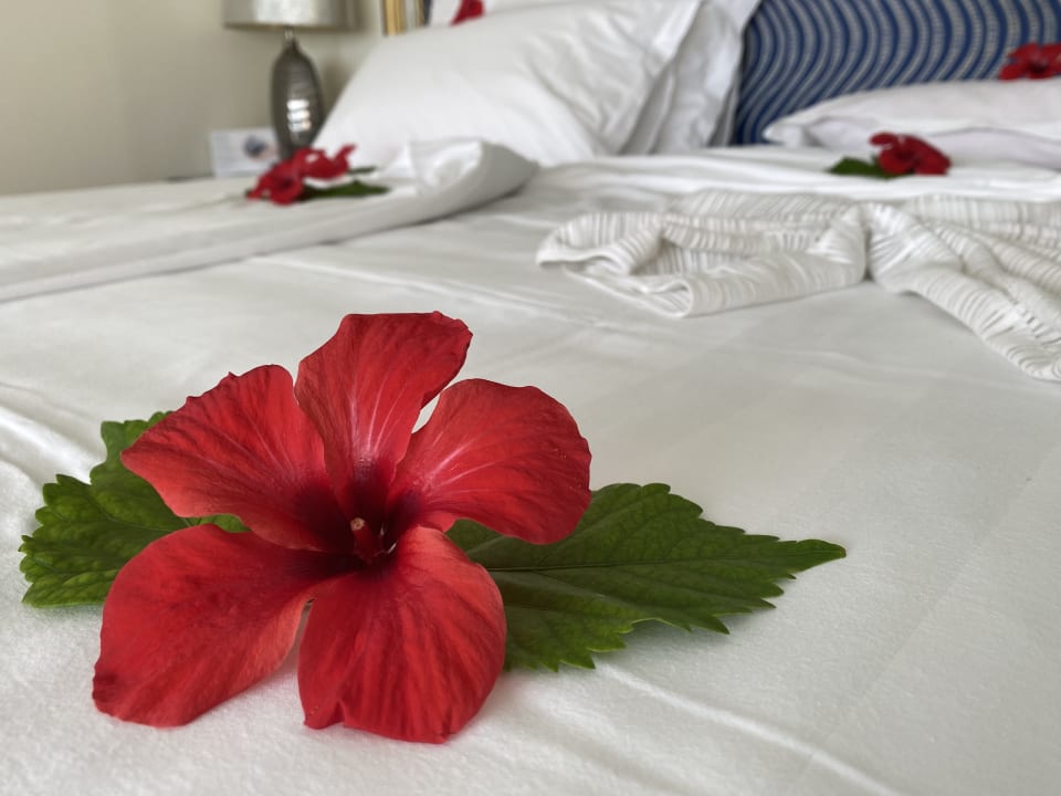 Zimmer Atrium Prestige Thalasso Spa Resort & Villas