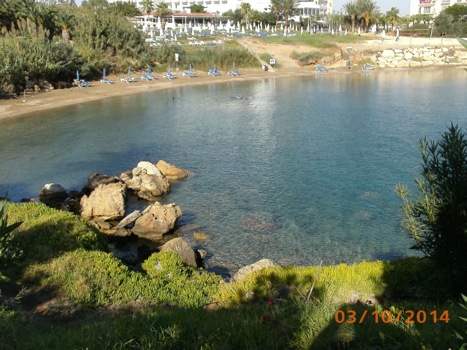 Glasklares Wasser,tolle Bucht Crystal Springs Beach Hotel