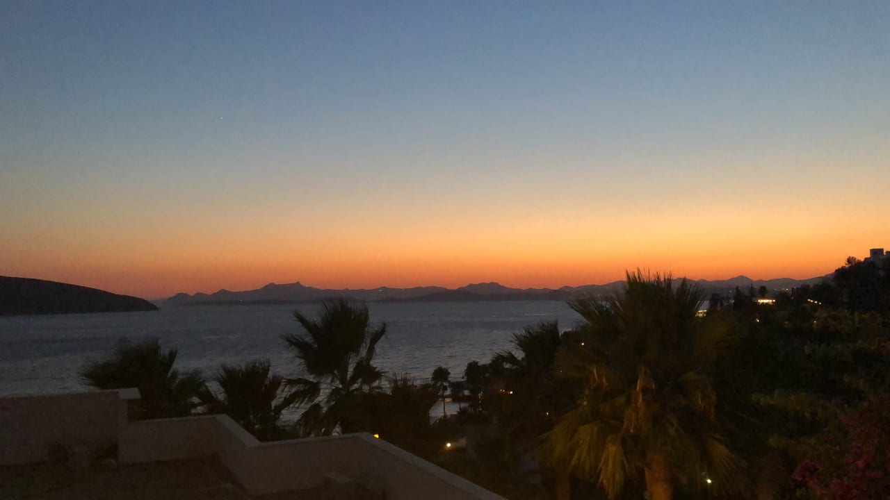 Zimmer TUI MAGIC LIFE Bodrum - Adult Only (16+)