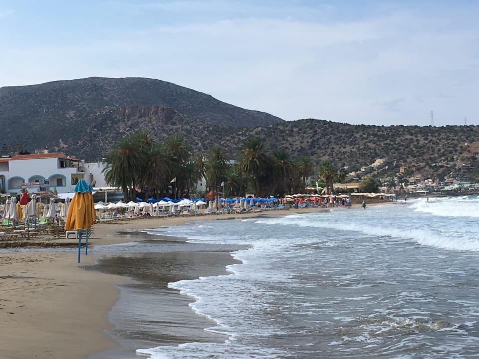 Strand Zeus Hotels Palm Beach