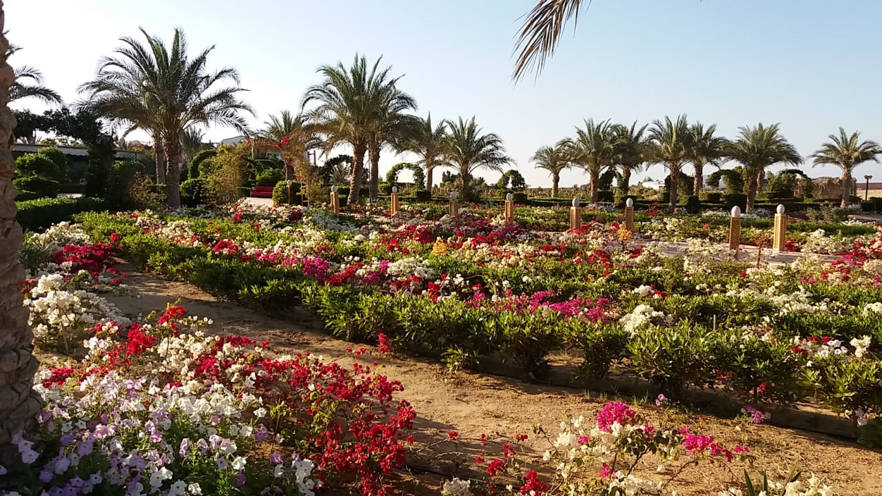 Gartenanlage Fantazia Resort Marsa Alam
