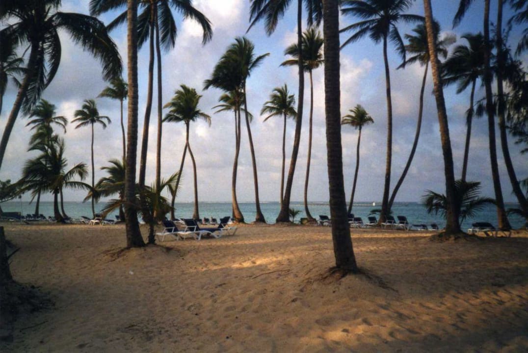 Strand Barcelo Bavaro Beach - Adults only