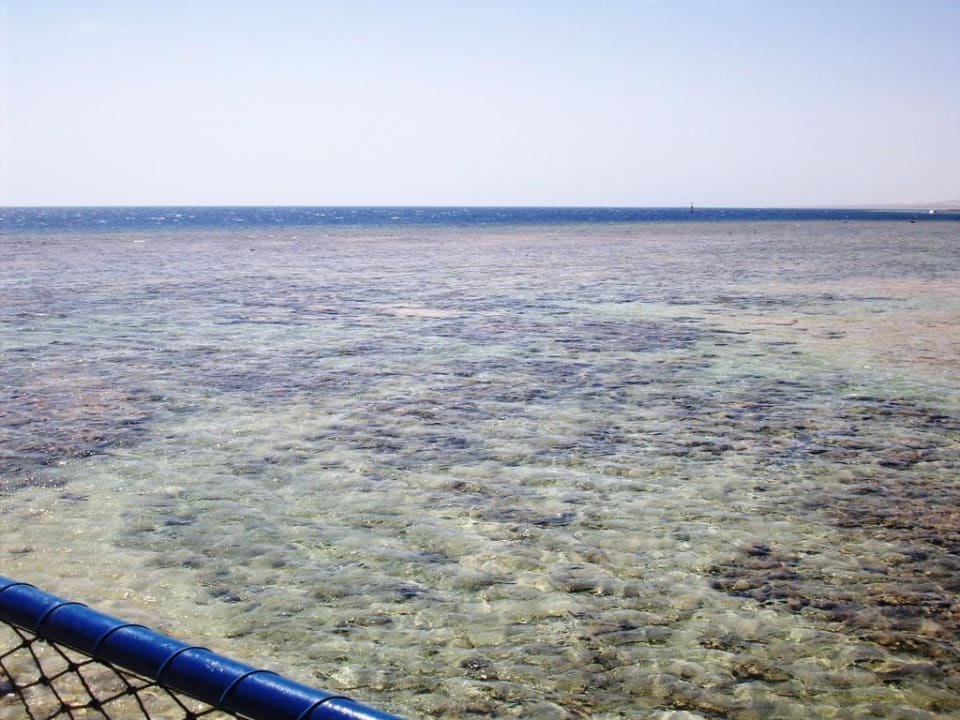 Das Meer Pickalbatros Sands Hotel - Port Ghalib