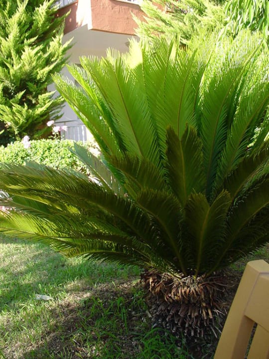 Ogrod Hotel Özgürhan