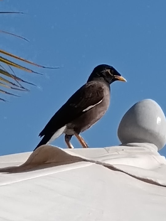 Sonstiges Hampton by Hilton Marjan Island