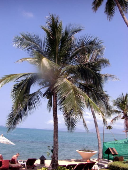 Ausblicik vom Pool Fair House Villas & Spa