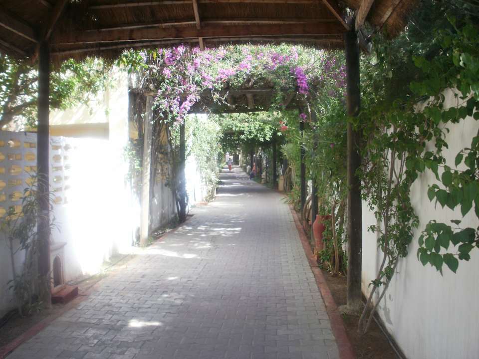 Weg zum Strand Hotel Nesrine