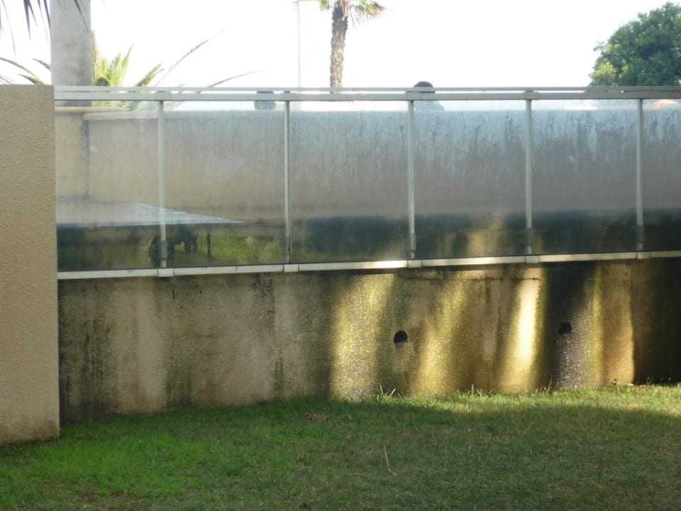 Une piscine qui laisse à désirer! Résidence Marina Bianca