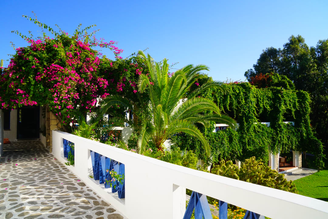 Ausblick Ekaterini Hotel