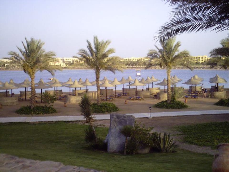 Hotelstrand Steigenberger Coraya Beach - Adults only