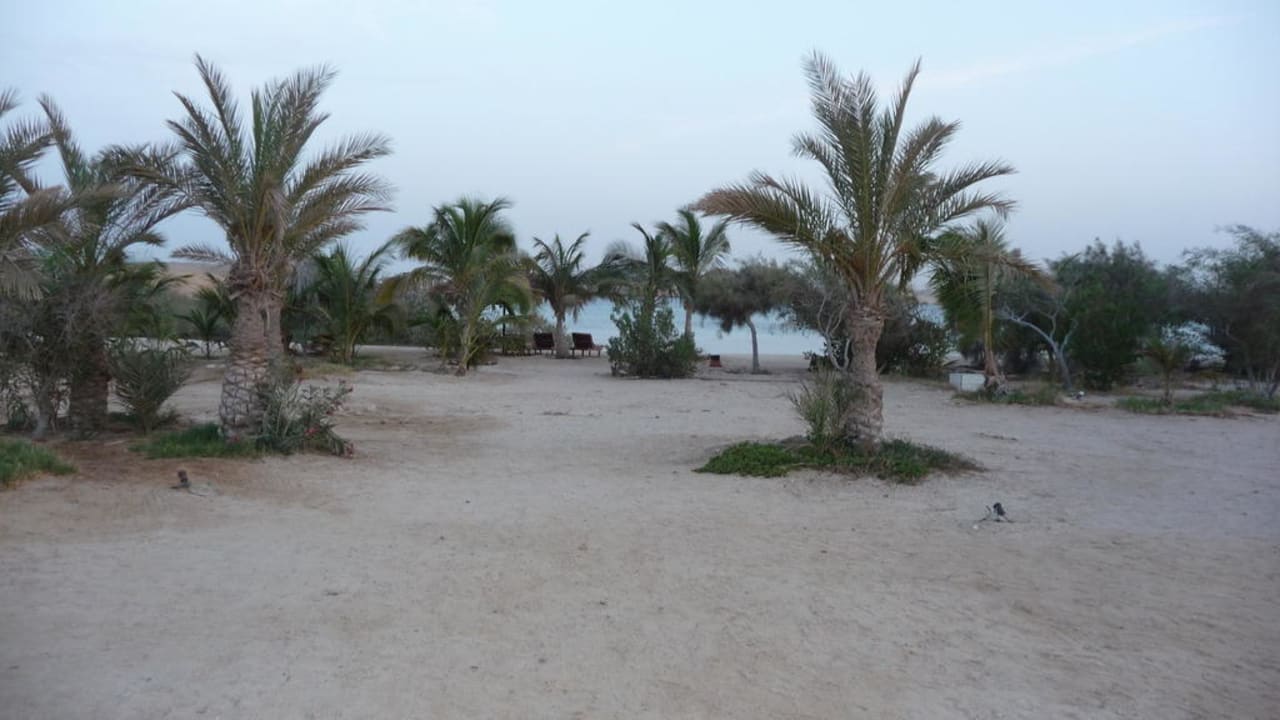 Unser Strand Hotel Mangrove Bay Resort