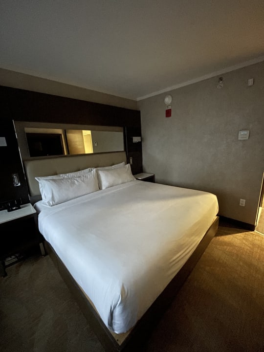 Zimmer Holiday Inn Brooklyn Downtown