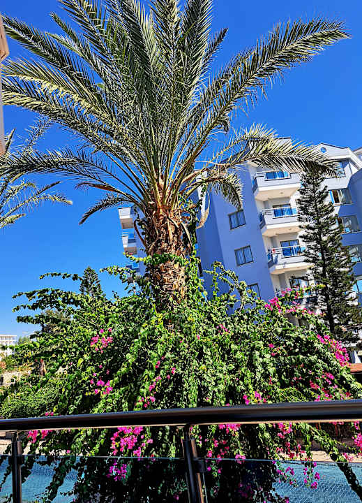 Sport & Freizeit Opia Hotel