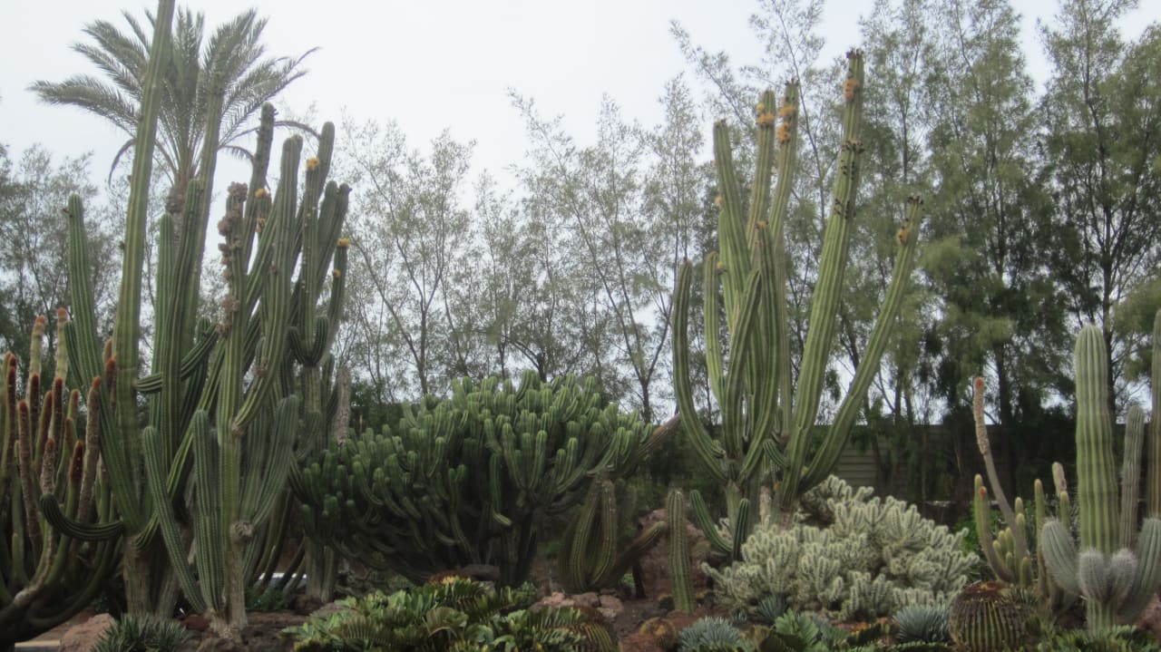 Gartenanlage R2 Rio Calma Hotel & Spa & Conference