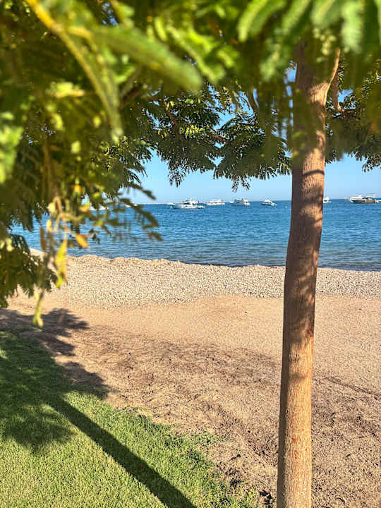 Strand The Grand Resort