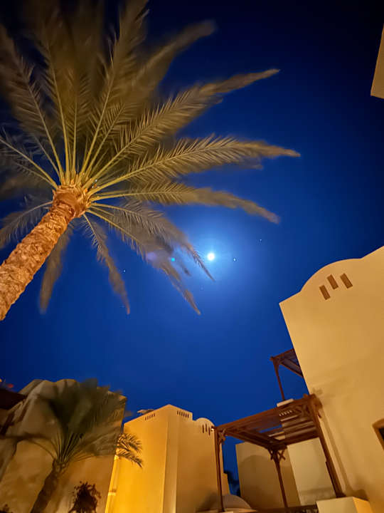 Außenansicht Steigenberger Coraya Beach - Adults only