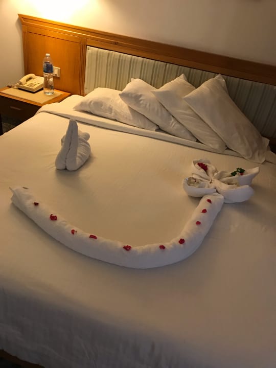 Zimmer Pharaoh Azur Resort