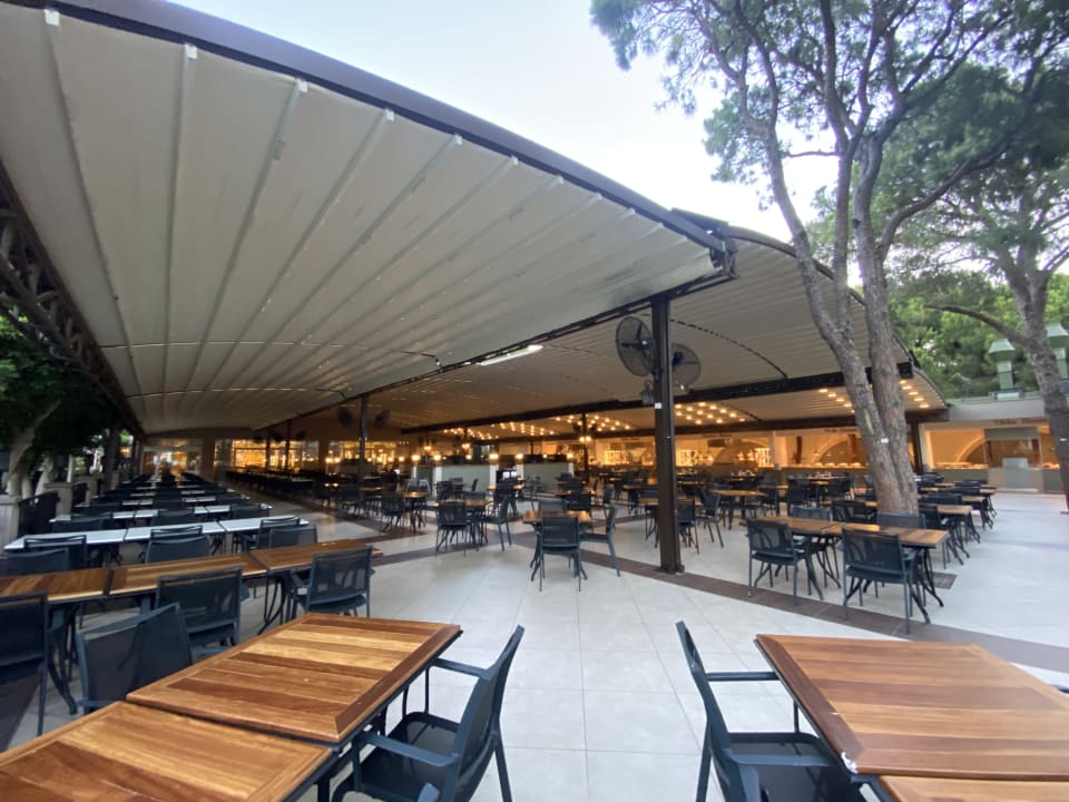 Gastro Papillon Ayscha