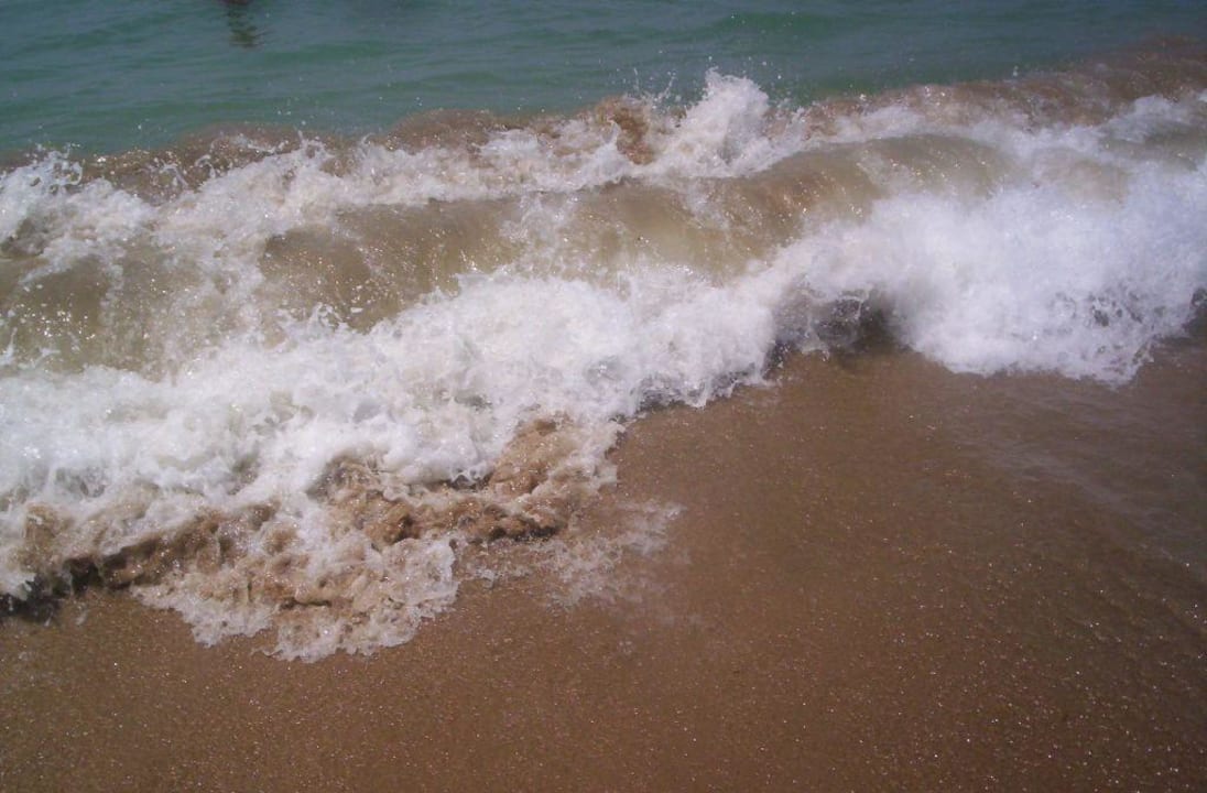 Wellen am Strand Antik Garden