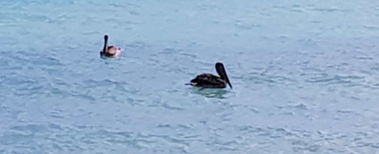 Strand Melia Las Dunas