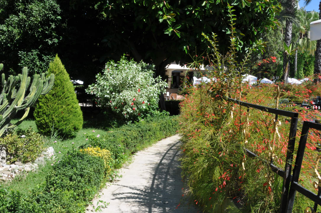 Blühende Landschaften! Botanik Hotel & Resort