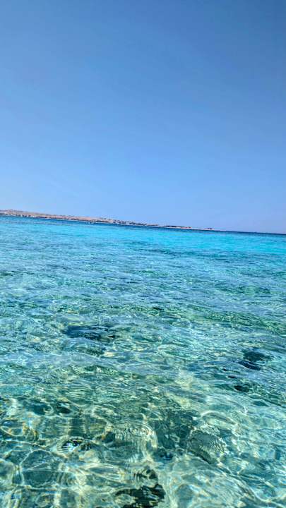 Strand JAZ Elite Asteria