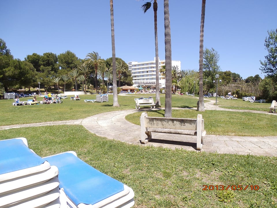 Gartenanlage mit Pool Hotel Exagon Park