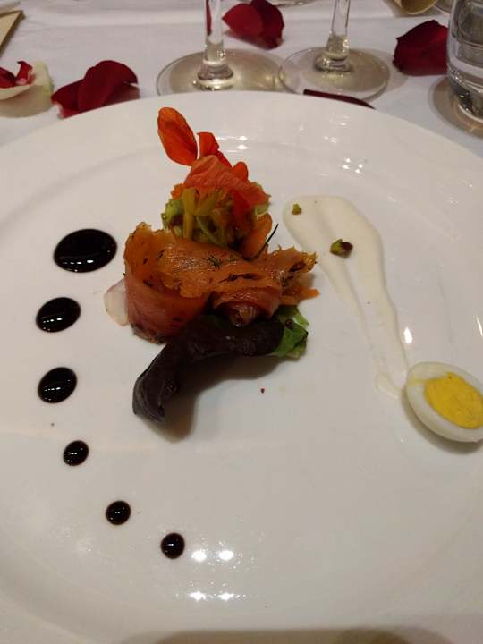 Gastro Acanthus Cennet Barut Collection