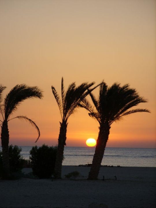 Sonnenaufgang Marsa Shagra Village