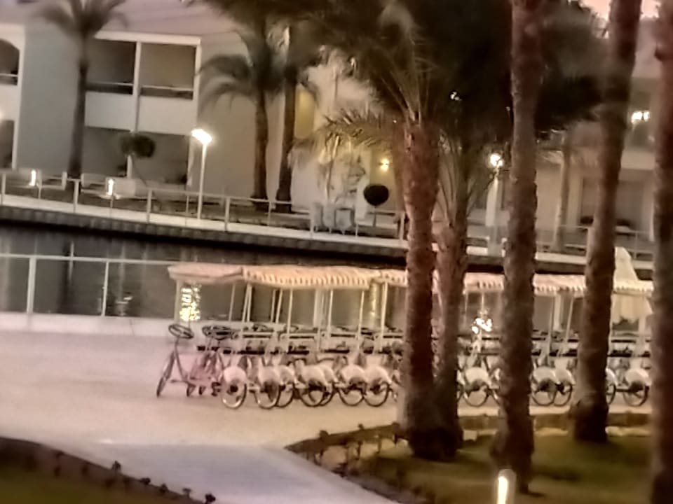 Gartenanlage Pickalbatros Dana Beach Resort - Hurghada