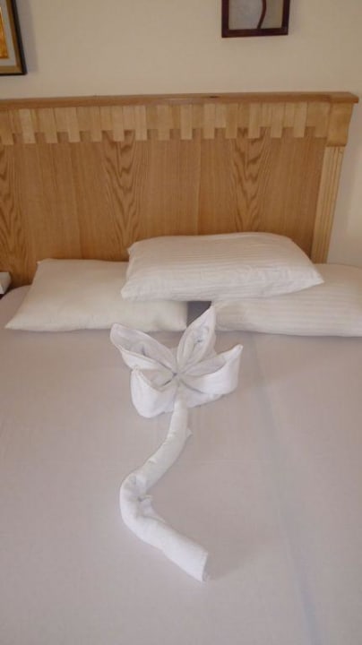 Kleine Aufmerksamkeit  Pickalbatros Alf Leila Wa Leila Resort - Neverland Hurghada