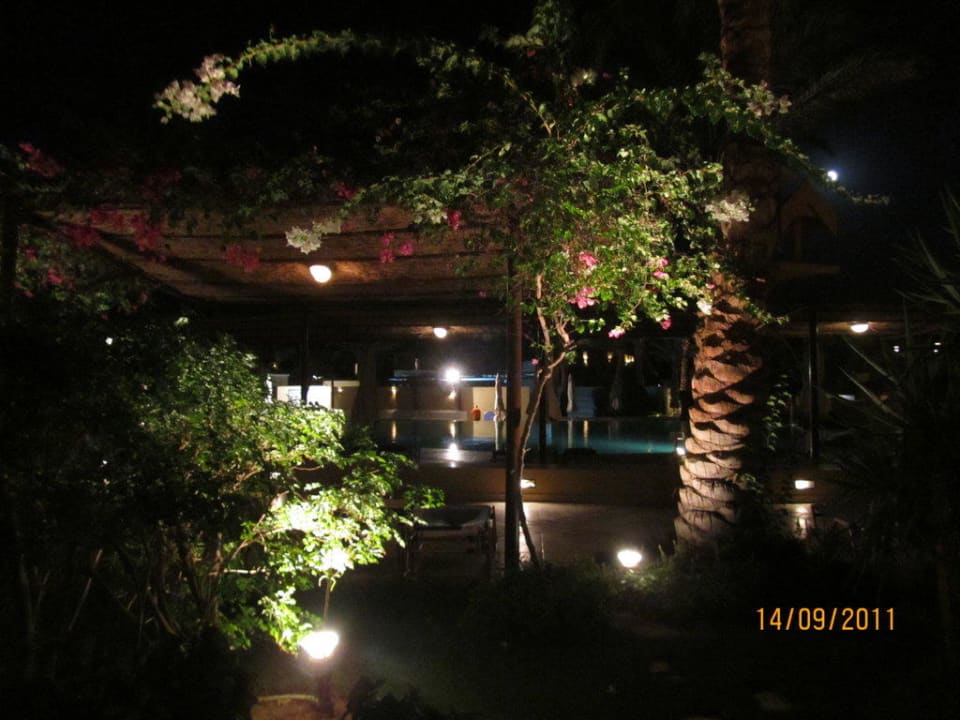 Blick vom Zimmer Jaz Makadi Gardens - TUI BLUE Makadi Gardens - Adults Friendly 16 Years Plus