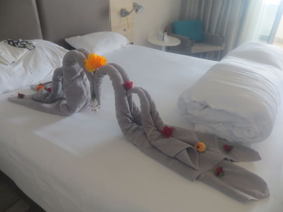 Zimmer Sunprime C-Lounge