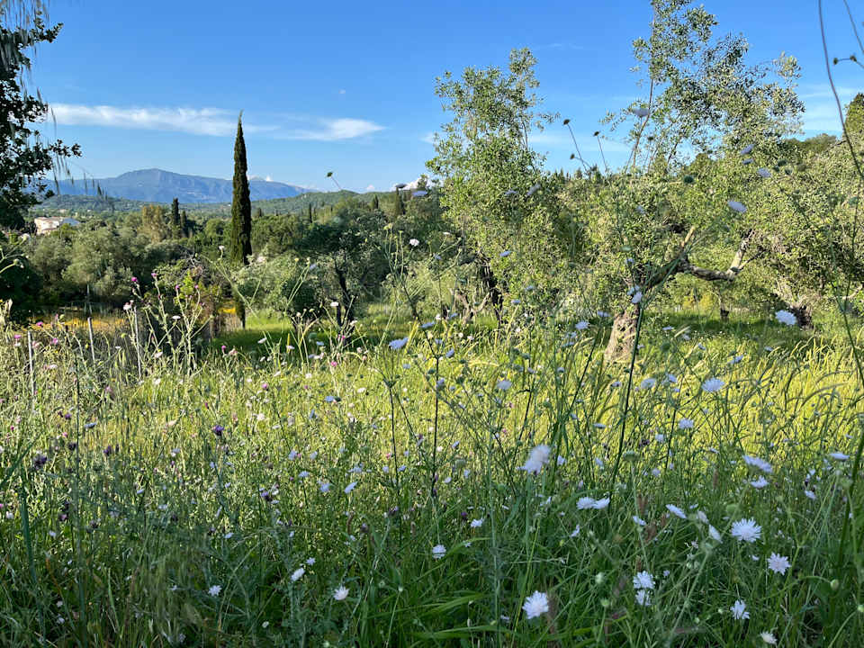 Sonstiges Villa Kapella