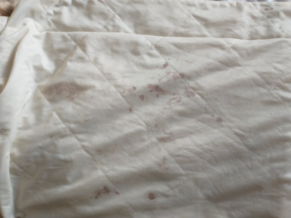 Zimmer Wyndham Istanbul Old City