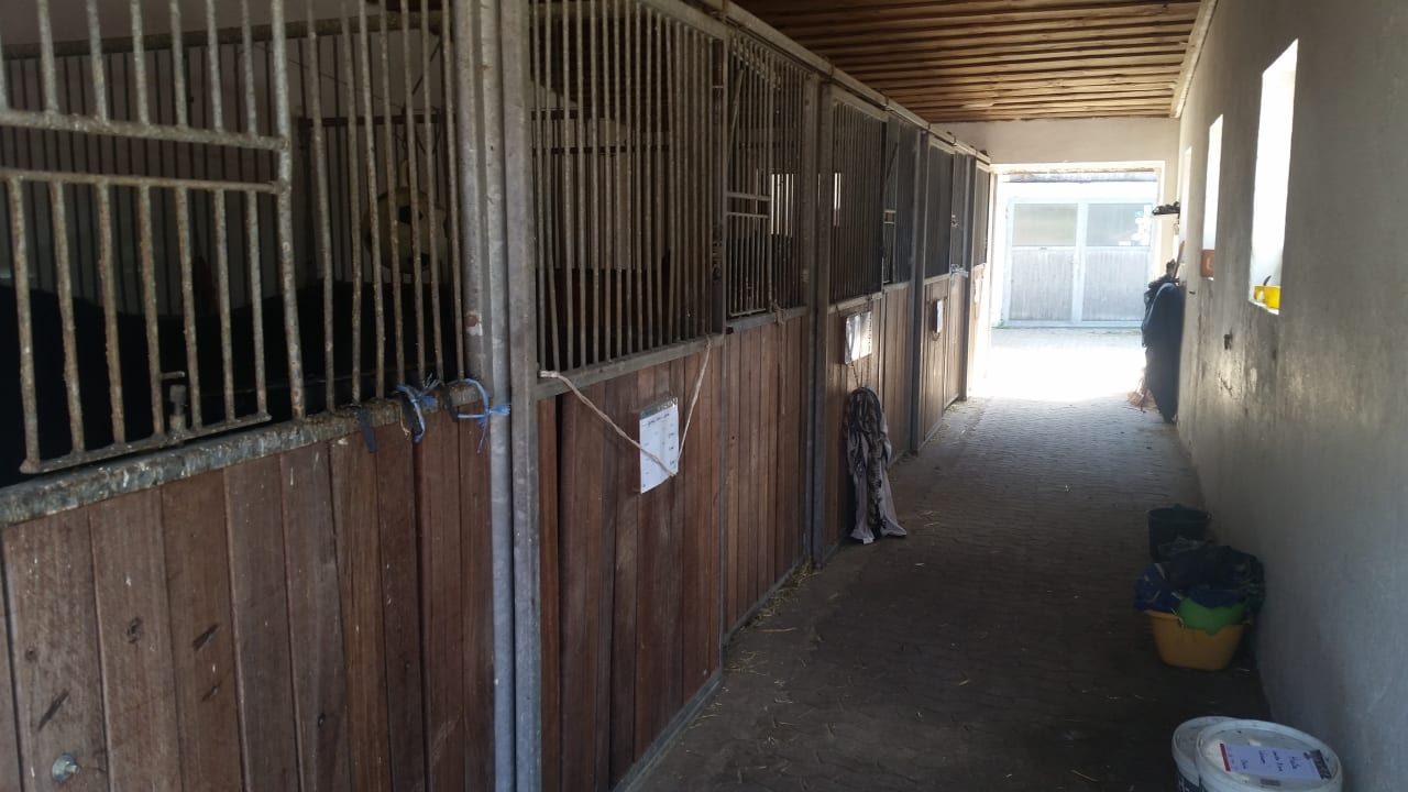 Außenansicht Hotel Reiterhof Altmühlsee