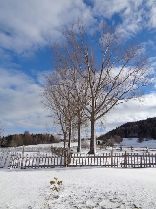 Ausblick Ferienwohnung Obermoarhof