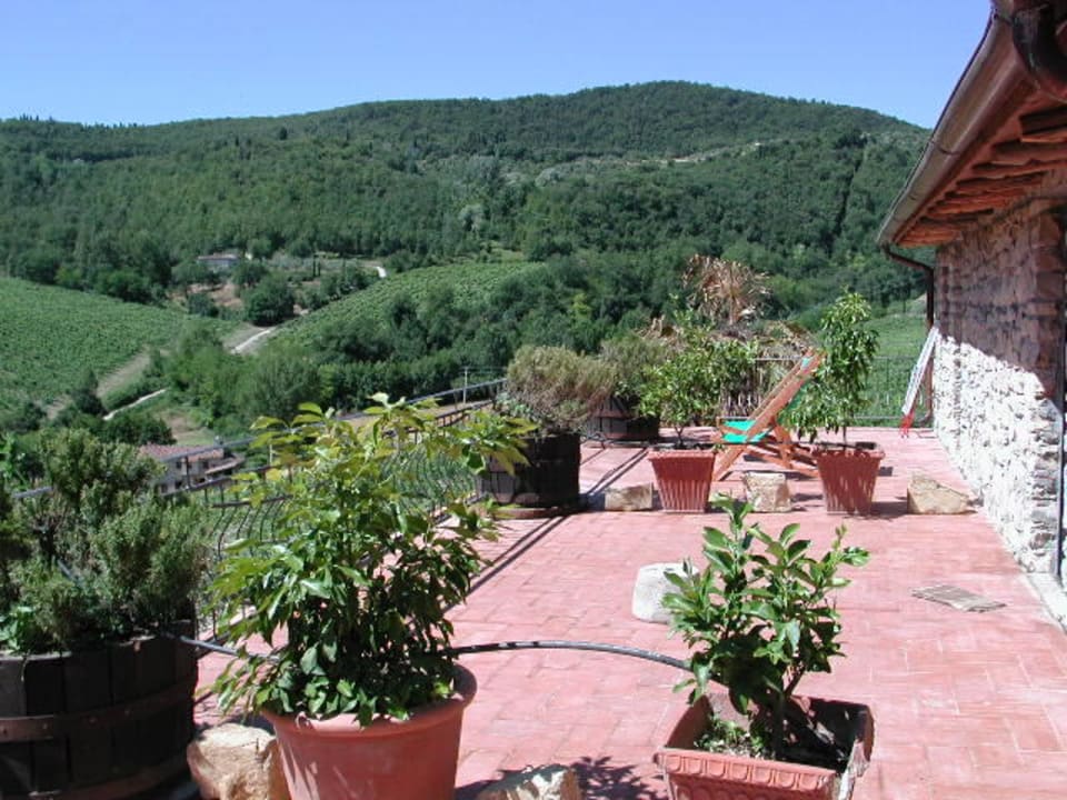 Girasole Agriturismo Fattoria di Castiglionchio