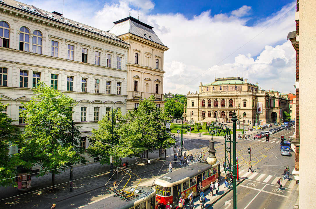 Executive One Bedroom Apartment The Art House