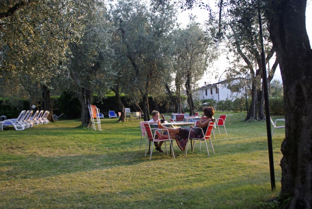 Olivenbäume im Garten Hotel Casa Rabagno Garni
